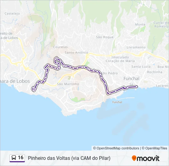 16 Bus Line Map