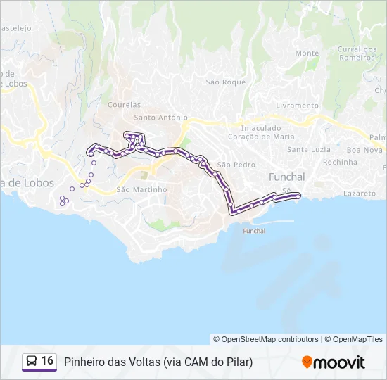 16 Bus Line Map