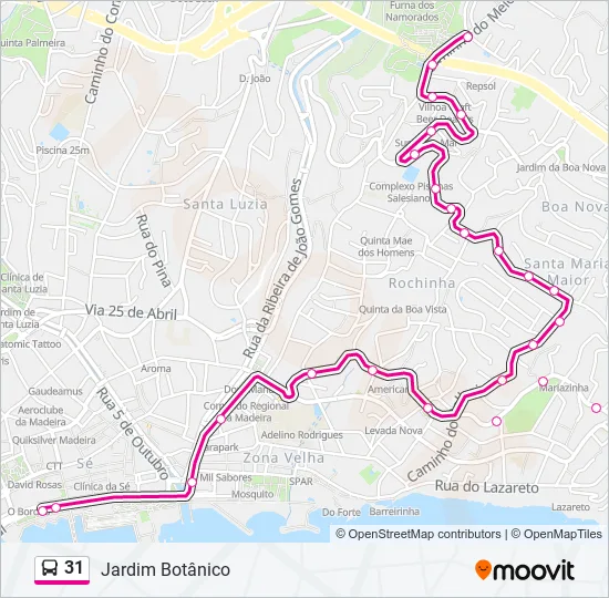31 Bus Line Map
