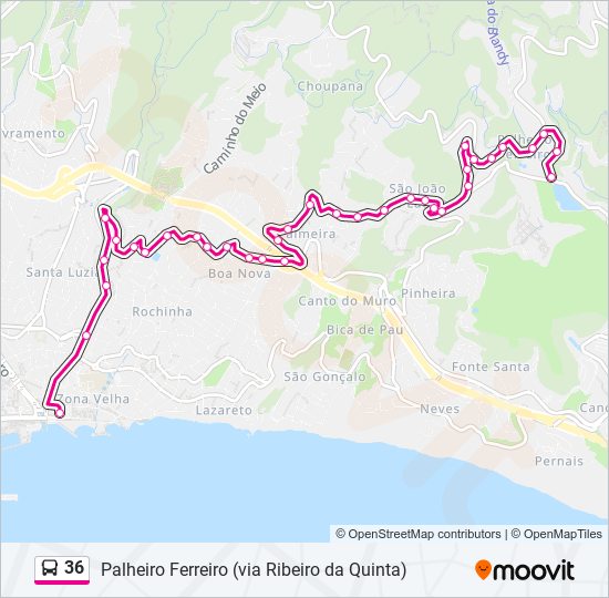36 Route: Schedules, Stops & Maps - Palheiro Ferreiro Via Ribeiro da ...