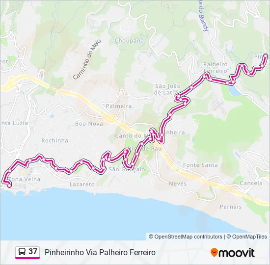37 Bus Line Map