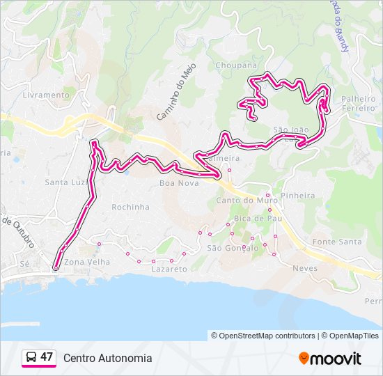 47 bus Line Map