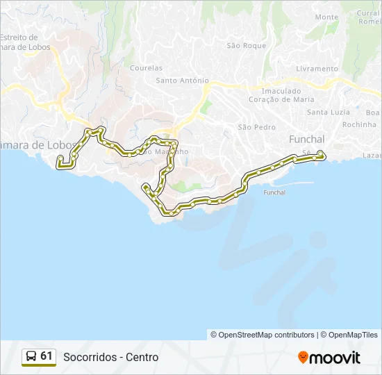 61 Bus Line Map
