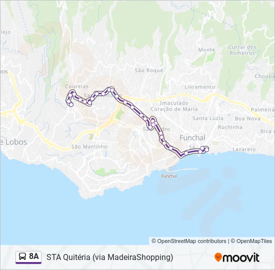 8A Bus Line Map