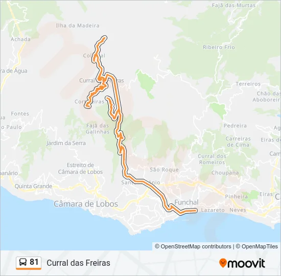 81  Line Map