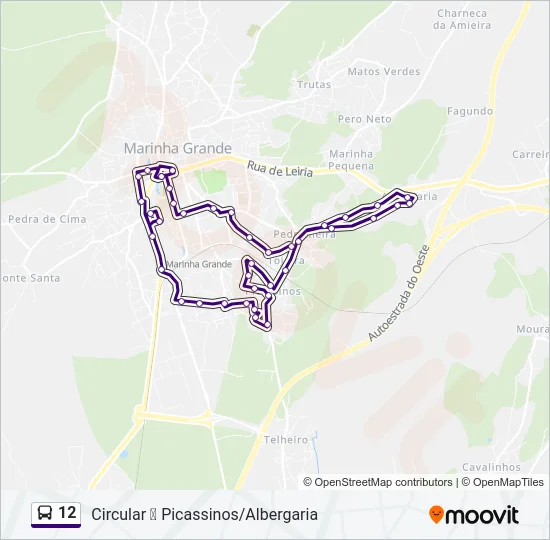 12 Bus Line Map