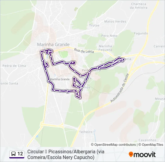 12 Bus Line Map