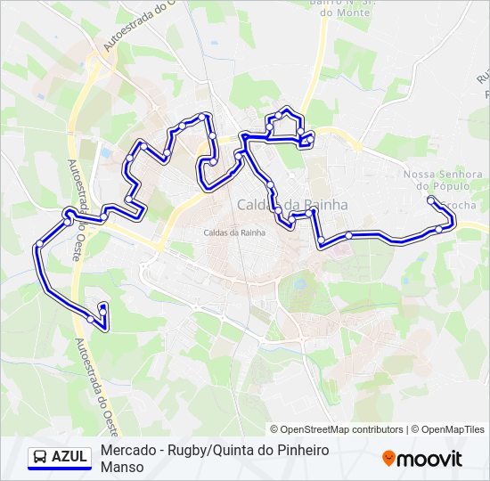 Mapa da linha do autocarro AZUL.