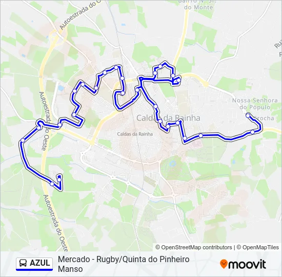 AZUL Bus Line Map