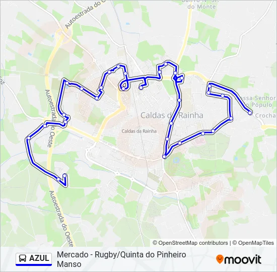 AZUL Bus Line Map