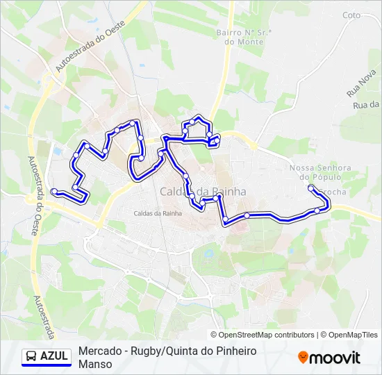 AZUL Bus Line Map