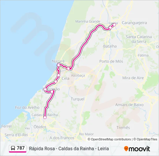 787 Bus Line Map