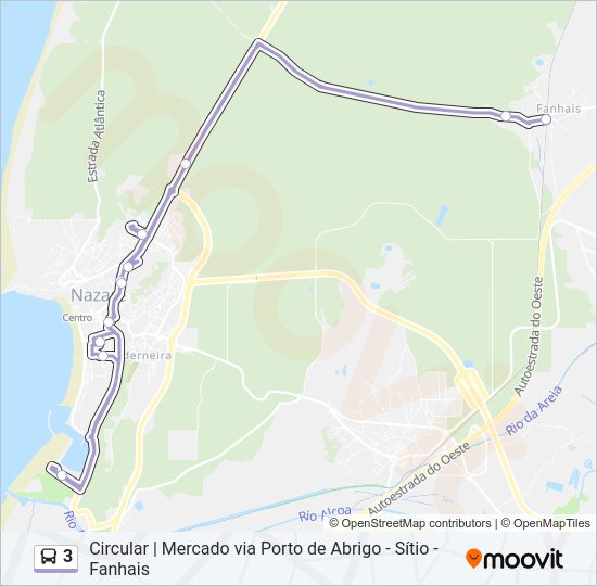 3 Bus Line Map