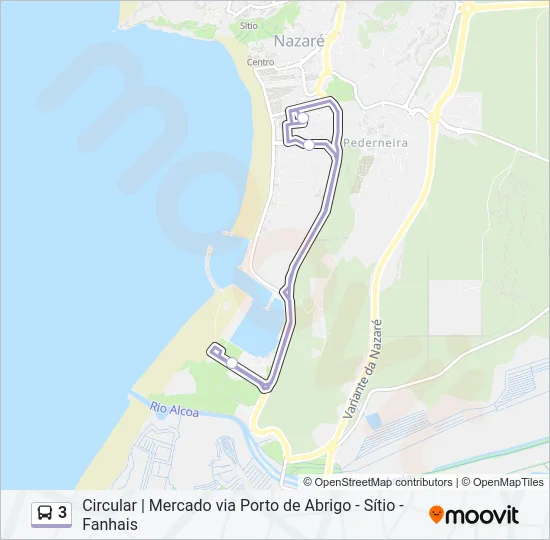 3 Bus Line Map