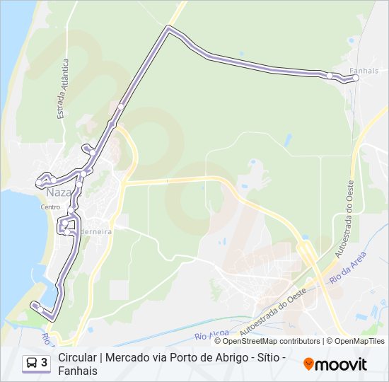 3 Bus Line Map