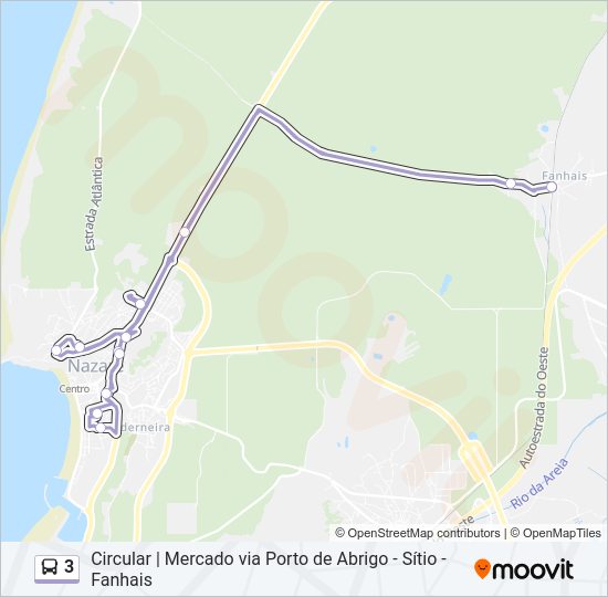 3 Bus Line Map