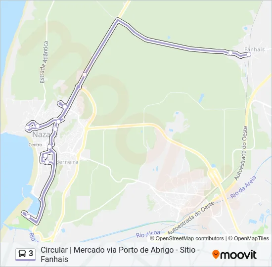 3 Bus Line Map