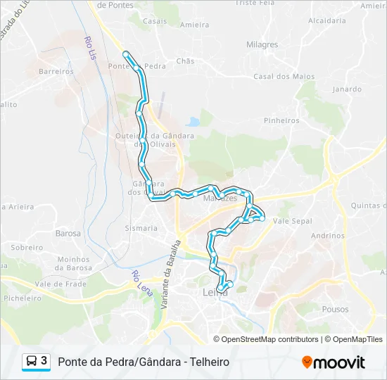 3 Bus Line Map