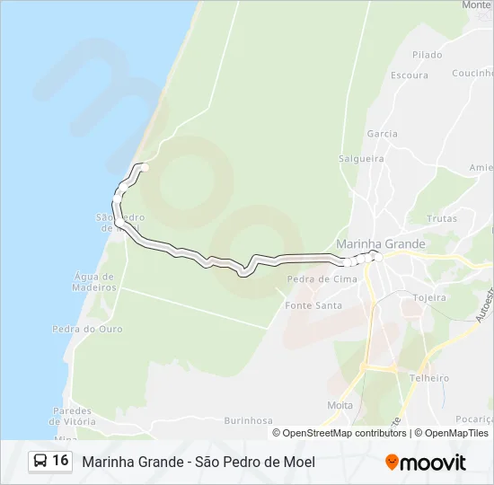 16 Bus Line Map