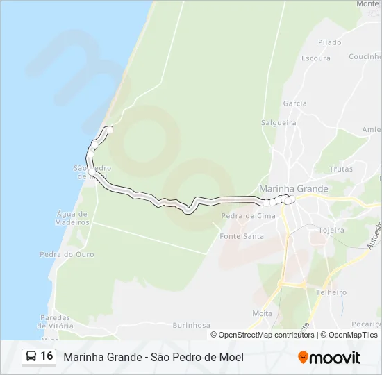 16 Bus Line Map