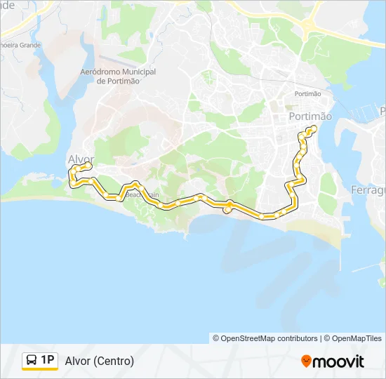 1P Bus Line Map