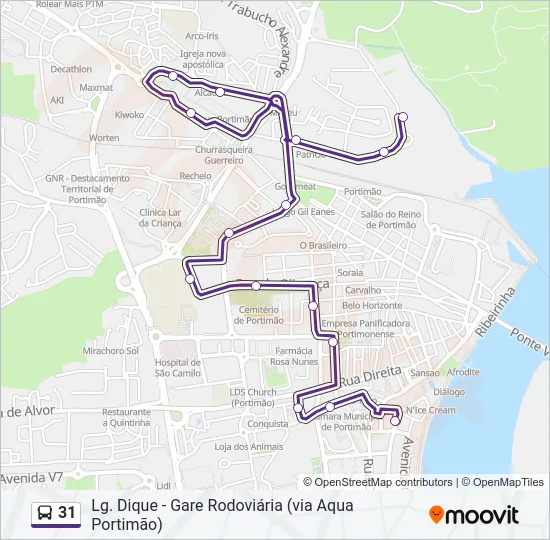 31 Bus Line Map