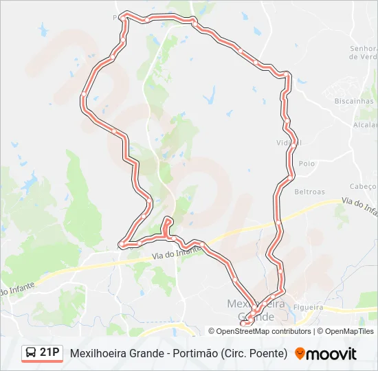 21P Bus Line Map