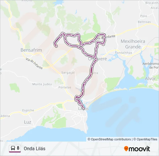 8 Bus Line Map