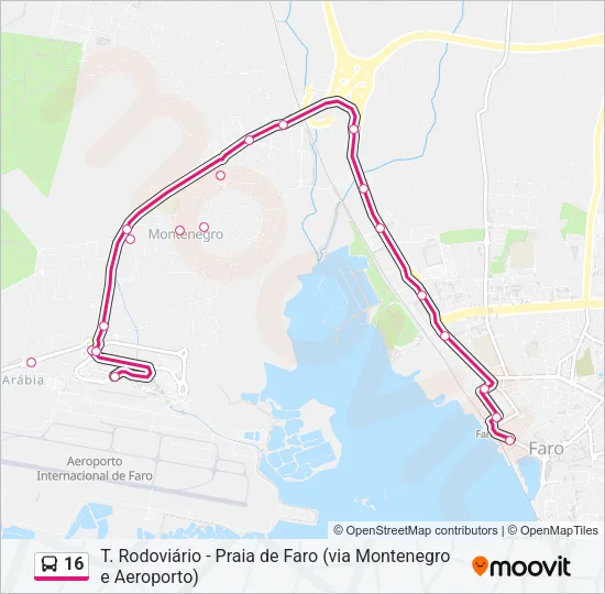 16 Bus Line Map