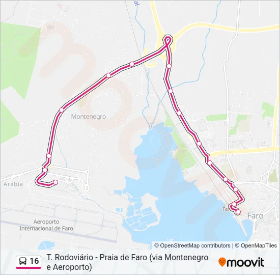 16 Bus Line Map