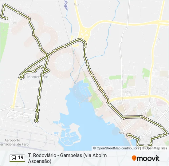 19 Bus Line Map