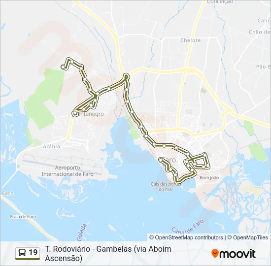 19 Bus Line Map