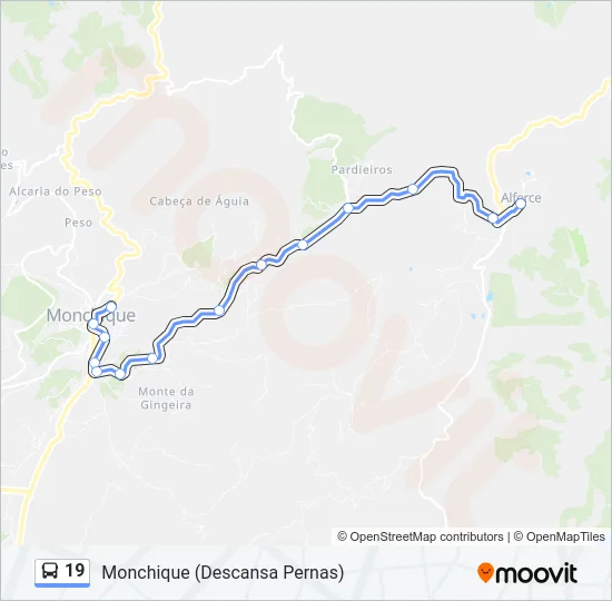 19 Bus Line Map