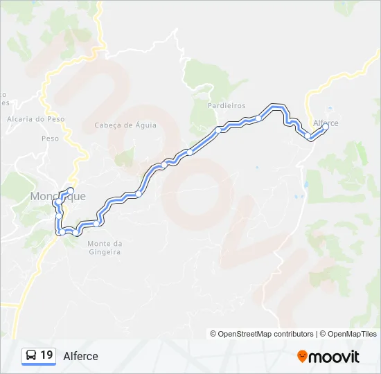 19 Bus Line Map