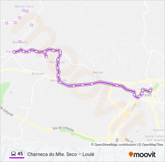 Mapa da linha do autocarro 45.