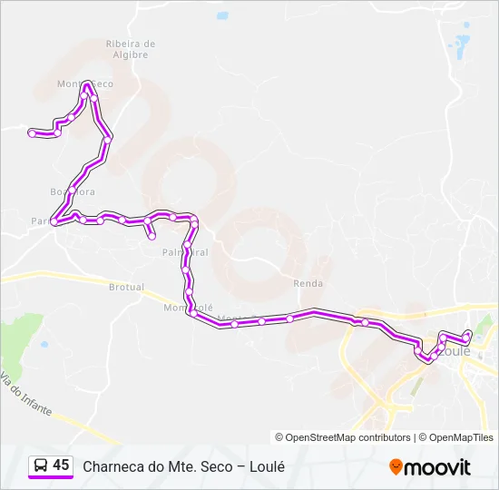 45 Bus Line Map
