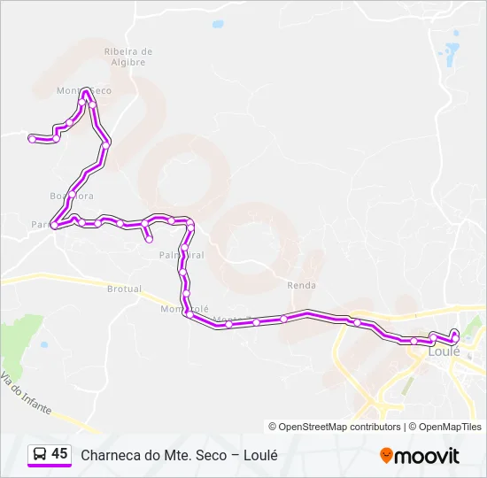 45 Bus Line Map