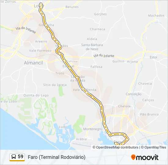 59 Bus Line Map