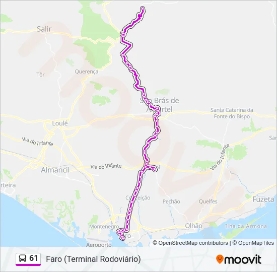 61 Bus Line Map