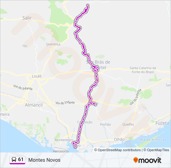Mapa da linha do autocarro 61.