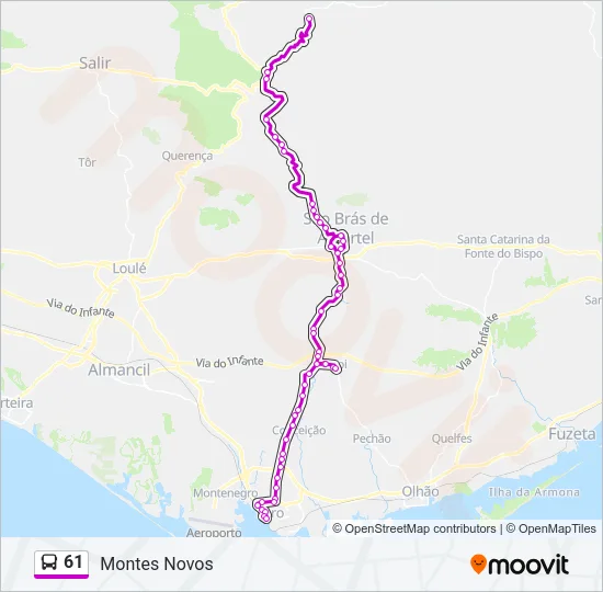 61 Bus Line Map