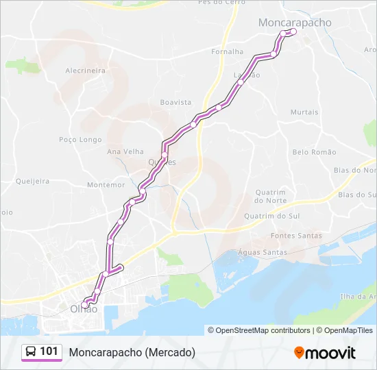 101 Bus Line Map