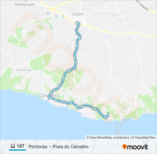 Mapa da linha do autocarro 107.