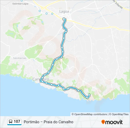 107 Bus Line Map