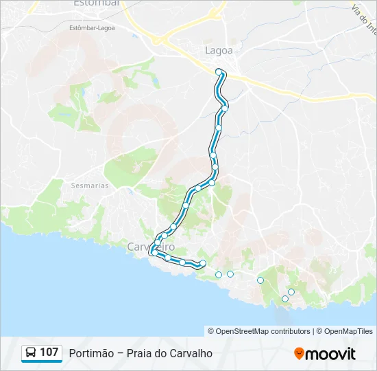 107 Bus Line Map