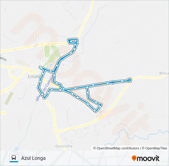 LINHA AZUL Bus Line Map