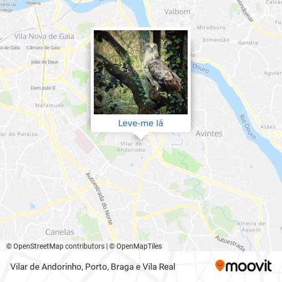 Como chegar a Rua Da Serpente em Vila Nova De Gaia através de Autocarro ou  Metro?