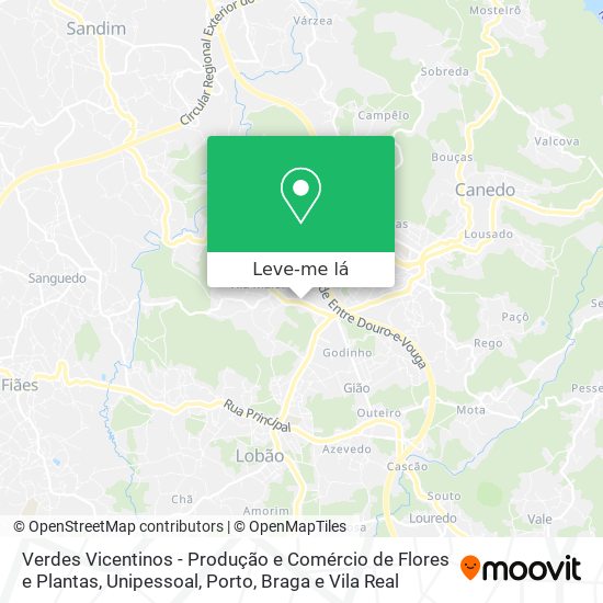 Verdes Vicentinos - Produção e Comércio de Flores e Plantas, Unipessoal mapa