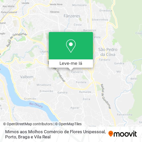 Mimos aos Molhos Comércio de Flores Unipessoal mapa