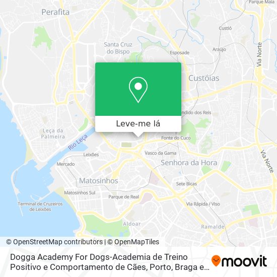 Dogga Academy For Dogs-Academia de Treino Positivo e Comportamento de Cães mapa